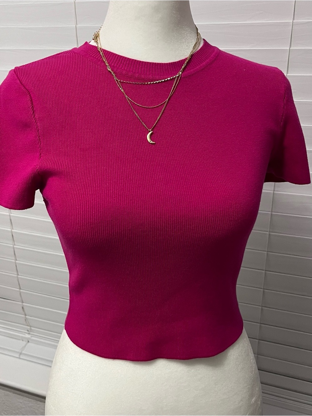 Zara Ribbed Crewneck Crop Top - Fuchsia